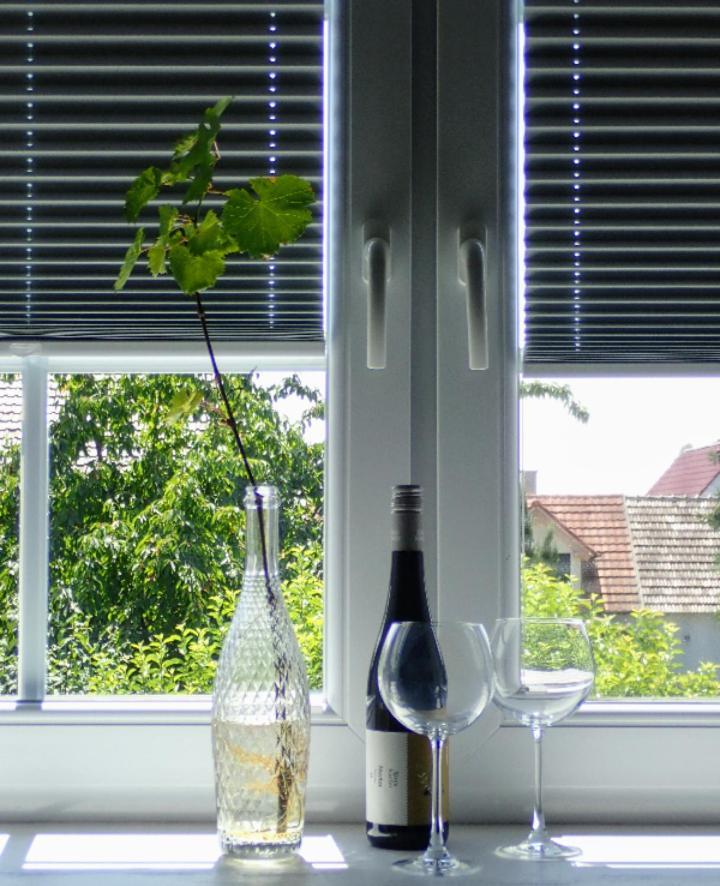 Oase Der Geborgenheit Apartment Venningen Luaran gambar